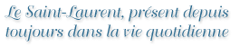 Le Saint-Laurent, présent depuis toujours dans la vie quotidienne