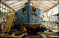 Musée maritime de Charlevoix, Fonds exposition maritime