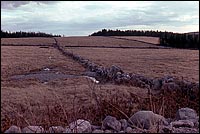 Musée de Charlevoix, Projet PAISAGE, Département de géographie, Université Laval, 1974-76