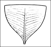 Illustration - François Miville - Deschênes