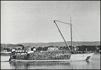 Collection Alphonse Toussaint, photographe Jacques Tondreau Musée maritime de Charlevoix