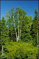 Ministère des Ressources naturelles du Québec