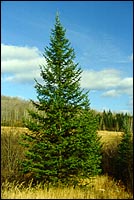 Ministère des Ressources naturelles du Québec