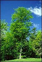 Ministère des Ressources naturelles du Québec