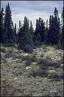 Sépaq, photographe M. Bouliane