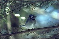 Sépaq, Photographe Pierre Bernier